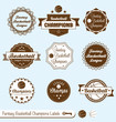 Vector Set: Vintage Style Fantasy Basketball Champions Labels