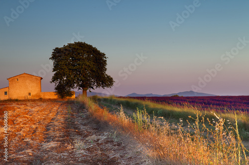 Photo: Provence landscape Provence landscape