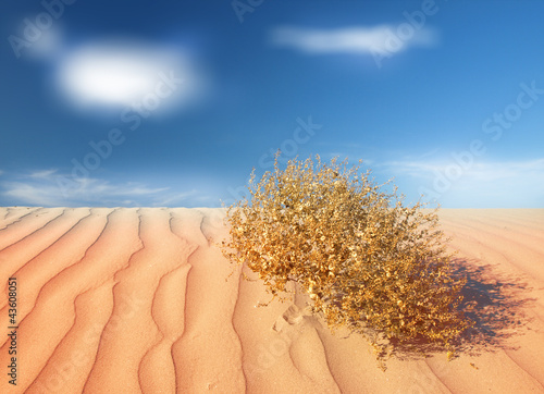 Photo: sand desert landscape sand desert landscape
