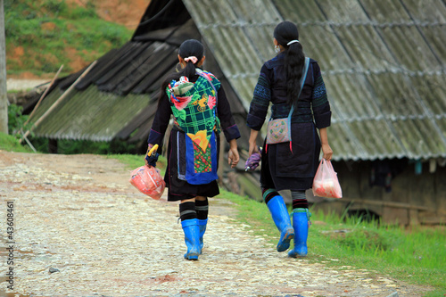Photo: Mongs noires marchant dans la montagne Mongs noires marchant dans la montagne