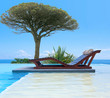 piscine provençale sous pin parasol