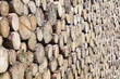 Photo: Holz-17921b1 Holz-17921b1