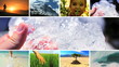 Video: Montage of natures life and ecosystems Montage of natures life and ecosystems