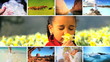 Montage of lifestyles achievements and ecosystems