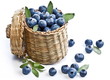 Blueberries in a basket