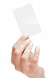 Frauenhand_26