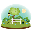 night park