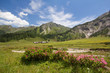 Ursprungalm - Schladming - Österreich