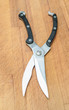 scissors for fish