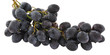 Black grapes isolated on white background