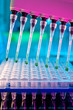 Tools for PCR amplification of DNA