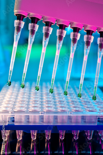 Photo: Tools for PCR amplification of DNA Tools for PCR amplification of DNA