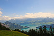 Schweizer See- und Berglandschaft
