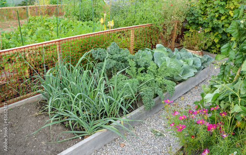 Photo: Allotment Gardens Allotment Gardens