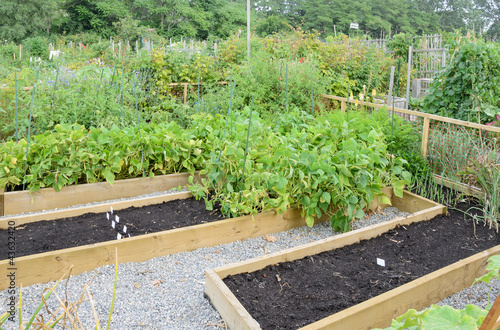 Photo: Allotment Gardens Allotment Gardens