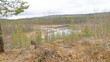Video: wald wald