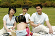 A family picnicking in the park