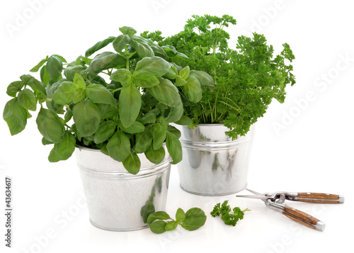 Photo: Kitchen Herbs Kitchen Herbs