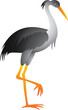 Heron Cartoon