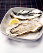 Oyster