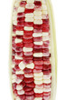 Maize