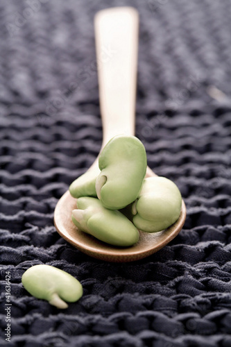 Photo: A spoonful of broad beans A spoonful of broad beans