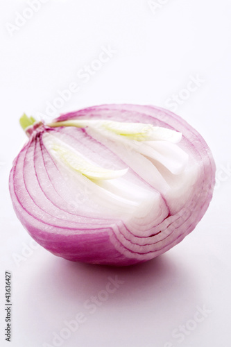 Photo: Onion Onion