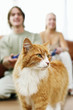 Couple playing video game console with the focus on their pet cat