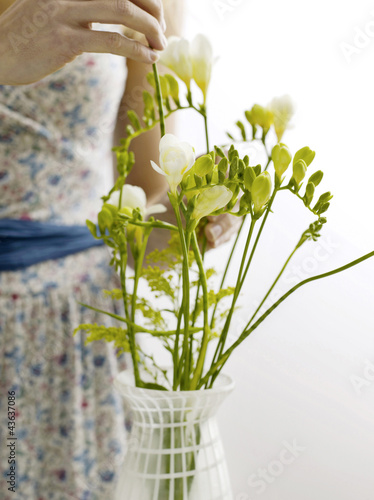 Photo: Arranging freesias in vase Arranging freesias in vase