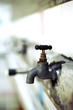 Tap