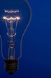 Illuminated light bulb