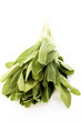 Vegetable