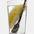 Gin and tonic with lemon
