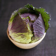 High angle close up of a cabbage