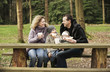 Family picnic at the park