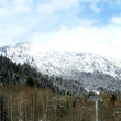 Snow-covered mountain and trees