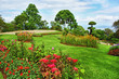 beautiful garden