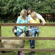 Man, woman and boy at the farm, woman holding a bucket of water for sheep to drink