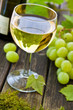 Wein