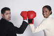 Businessman and businesswoman posing with their boxing gloves