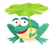 green frog holding leaf isolated on white