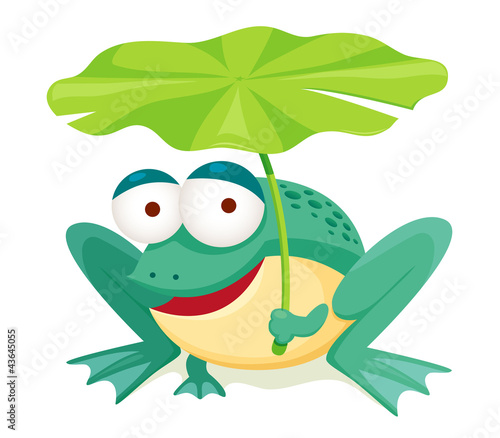 Vector: green frog holding leaf isolated on white green frog holding leaf isolated on white