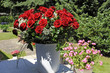 Rosen_9148