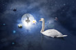 Swan with ballerina at moon