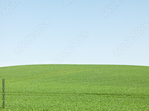 Photo: Green Field Green Field