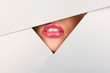 Beautiful female lips