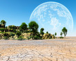 Desert
