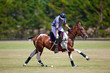 Photo: match de polo avec cheval et cavalier match de polo avec cheval et cavalier