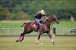Photo: joueur de polo joueur de polo