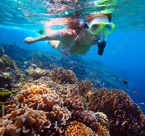Photo: Reef Reef